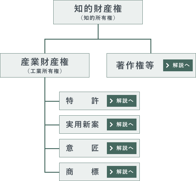 知的財産権